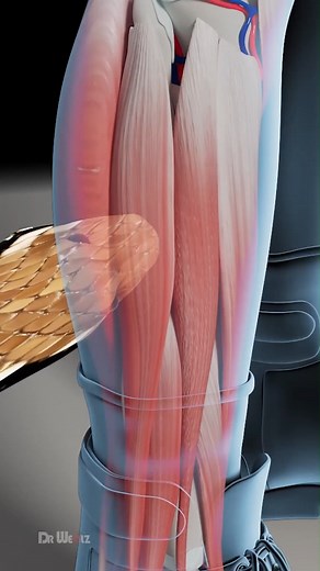 2.9K views | How To Survive a Venomous Snake Bite (3D Animation. #shorts #reesl #facbookReelscontest #doctor #DoctorWho #doctorsofinstagram #documentaryphotography | SMART Doctor | Facebook