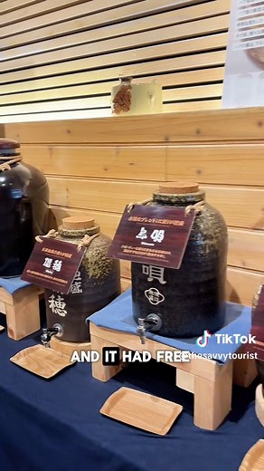 Exploring Okinawa: Top 12 Activities on Honto Island