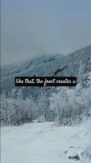 The Appalachian Mountains: Ancient Giants of North America ⛰️🌲