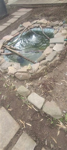 Frog Pond Area Redone, Lily Pot in Pond. Now Waiting for Warmer Weather to Plant.