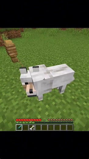 Minecraft noob vs pro vs hacker in taming dog.#minecraft #shorts #trending #viral