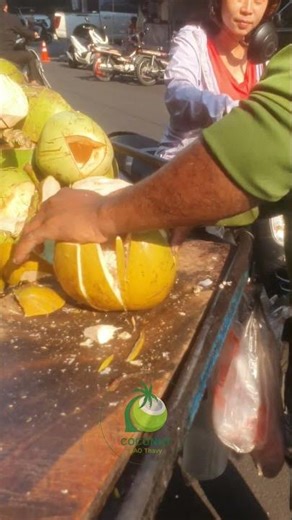 The Art of Coconut Cutting Techniques