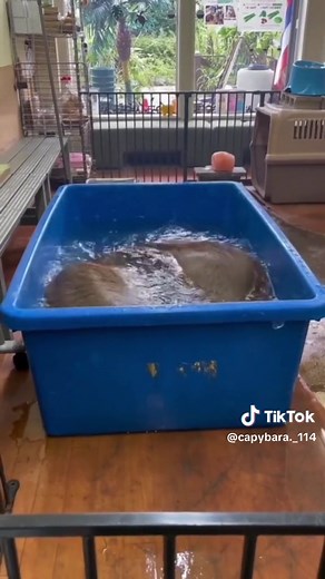 user97378186818 on TikTok