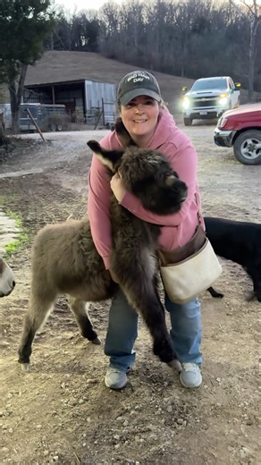 Baby Donkey Hugs 🥰 #donkey #baby #adorable le