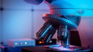 Un microscope surpuissant capture des images et des vidéos en 3D avec un niveau de détail stupéfiant