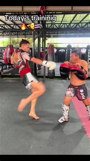 Today's Training: Insights and Challenges