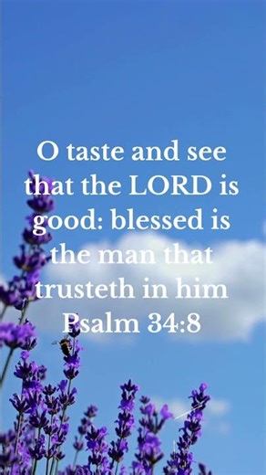 Psalm 34:8 – Taste and See God’s Goodness | 30 Days of Scriptures (Day 26 Morning)