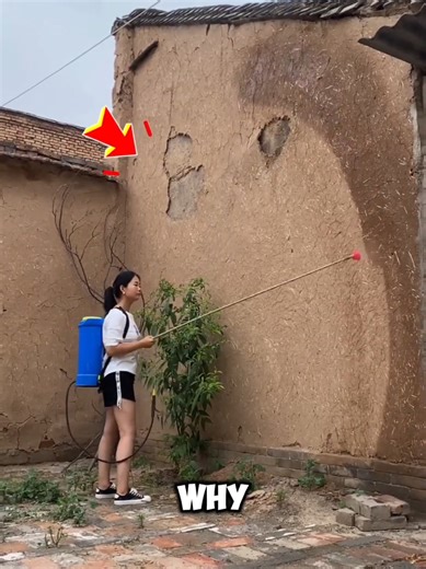 Why China Soil Houses Last for 200 Years 🤨