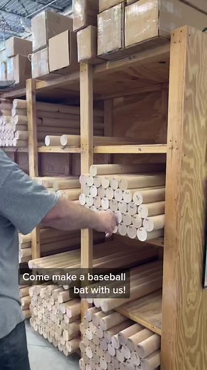 Homewood Bat on TikTok