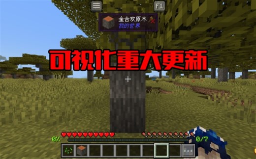 基岩版信息显示迎来最大更新