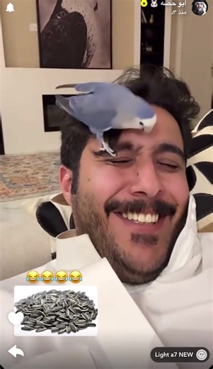 قروب أبو حصة: كل ما تحتاج معرفته