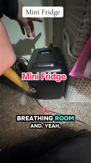 Compact Mini Fridge for Drinks and Snacks