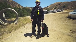 Check out this video created by the ASPCA featuring SDF-trained Search Dog Harper, who was recently named ASPCA's 2024 Dog of the Year! 🏆 🎥 To check out the full video highlighting Harper's background and work as a human remains detection dog, head to our website—linked below! #dogoftheyear #searchdog #workingdog https://www.searchdogfoundation.org/harper-aspca-2024-dog-of-the-year/ La County Fire Search Dogs, INC. Los Angeles County Fire Department | National Disaster Search Dog Foundation