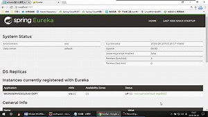 spring cloud&docker最新最全教程
