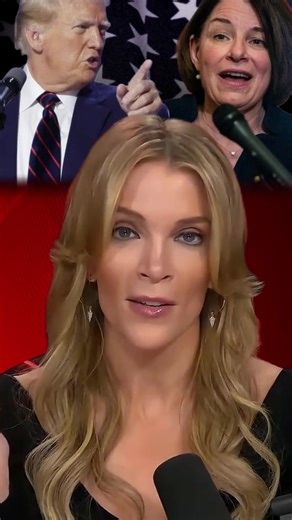 Megyn Kelly Reacts to Cringe Amy Klobuchar Trump Slam: