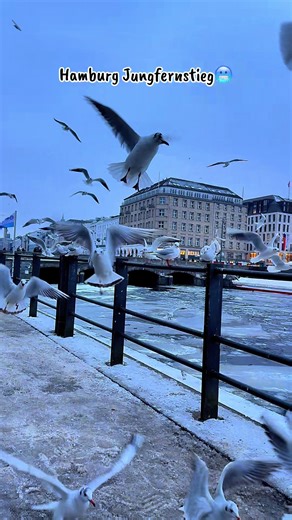 Exploring Jungfernstieg in Hamburg 2026