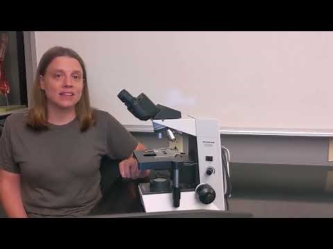 How to Use a Microscope