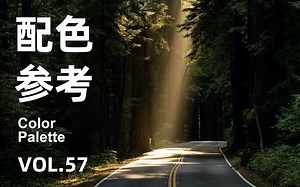 审美提升 | 光·深色·棕~配色参考