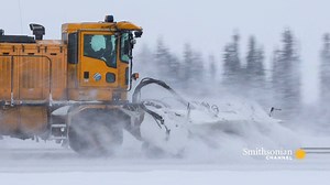 172K views · 2.3K reactions | The snow plows at Fairbanks airport are going all-out during a heavy snowstorm, needing to cover over 13 million square feet of asphalt. And as soon as they reach the end of the runway, they have to start again. A brand-new episode of Ice Airport Alaska airs tonight at 8 PM. | Smithsonian Channel | Facebook
