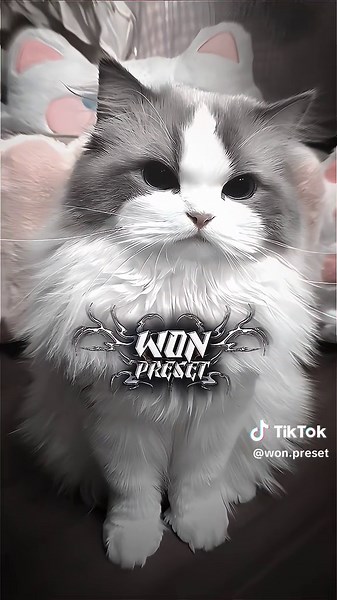 Preset Kece untuk Edit Video TikTok