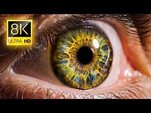 Ordinary Objects in Macro in 8K ULTRA HD / 8K TV