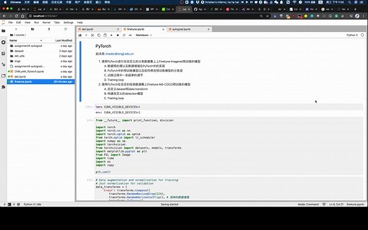 深度学习实验课-PyTorch基础，自定义dataset，分类模型和detection模型