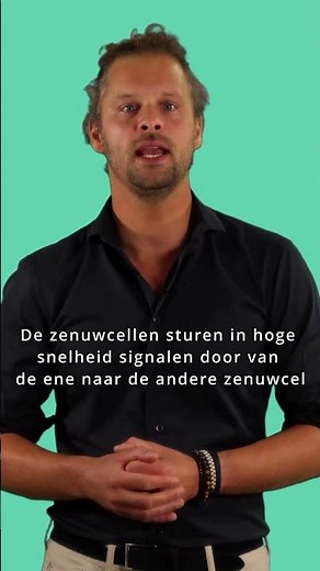 De werking van de hersenen in 1 minuut!