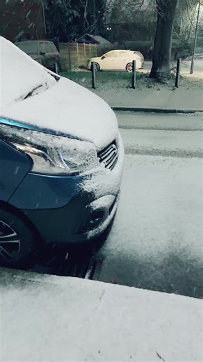 Adil Ahmed (@adilraja937)’s videos with original sound - Tamraiz sahi675