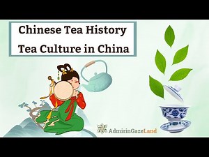 Chinese Tea History History of the Tea Tea Culture in China