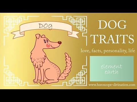 Chinese Zodiac Dog Personality ━ Dog Traits, Love & Feng Shui 狗