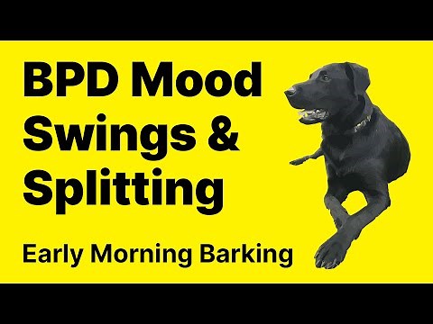 BPD Mood Swings and Splitting | BPD | Borderline Personality Disorder