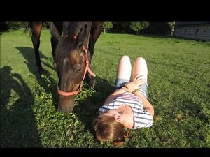 Champion mon amour de cheval! ♥