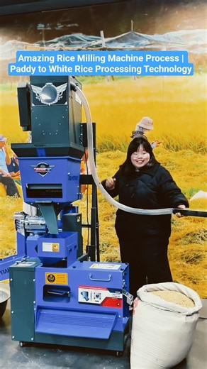 Amazing Rice Milling Machine Process | Paddy to White Rice Processing Technology