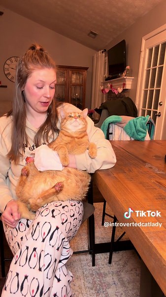 Cat Mishap While Filming: The Unexpected Moment