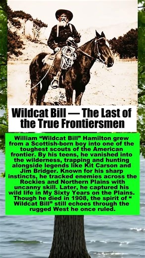 Wildcat Bill — The Last of the True