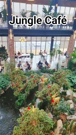 韩国爆火的 “植物系咖啡店”，中国很少见！Korea’s Viral Plant Cafés Hard to Find Back Home#韩国生活 #koreavlog