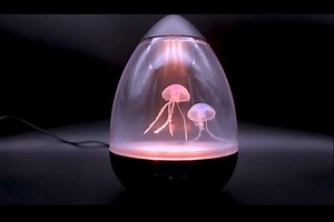 Watch Jellyfish Lava Lamp on Amazon Live