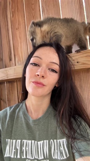 Texas Wildlife Park (@texaswildlifepark)’s videos with original sound - Texas Wildlife Park