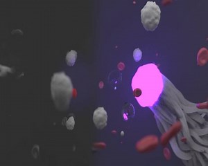 368 reactions · 89 shares | Nanotechnology is making drugs more precise. If drugs could be targeted to exactly the right place in the body, we could probably do with significantly smaller doses – and consequently fewer side effects. To allow for such precise delivery, we need tiny nanocarriers and even smaller nanotrackers to monitor them. | University of Helsinki | Facebook