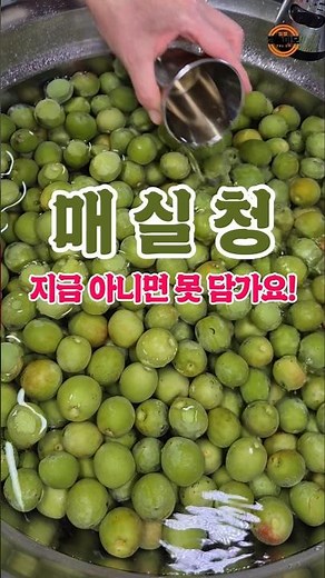 황매실로 10년째 담그는 매실청 비법 공개!#정쓰이모 #매실 #매실청 #매실청레시피 #매실청담그는법 #제철요리 #매실활용법 #올리고당#황매실 #여름건강음료 #발효음식 #매실주