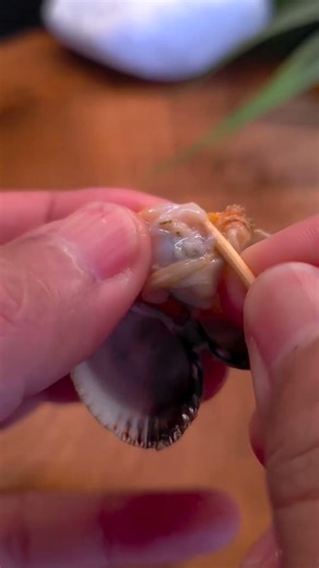 sea shell clean #fishing #meatmarket #seafoodprep #satisfying #seafoodrecipes #seafooddishes #food