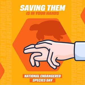 204K views · 43 reactions | It’s really painful to see animals getting endangered. We can still do our bit to help them grow in numbers. Let’s raise awareness by learning about and taking action to protect the threatened species. #ToughAsATiger #TigerBalm #NationalEndangeredSpeciesDay #TigerBalm #TigerBalmIndia #TigerBalmWhite #TigerBalmRed #TigerBalmInternational #LessonsFromPain #GymReady #RoarThroughPain | Tiger Balm India | Facebook