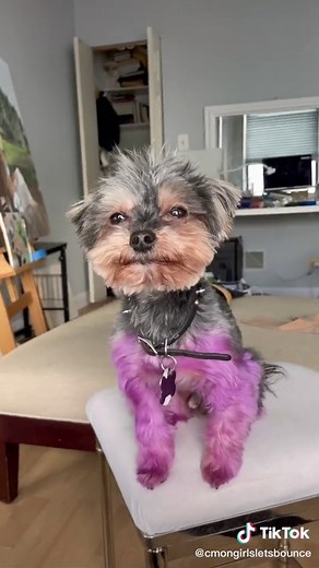 Here’s a quick video on how I made those Hoof boots for my #Halloween costume. For a more in depth tutorial, search “Worbla Hoof Shoes” by Fat-Unicorn Cosplay on YouTube!