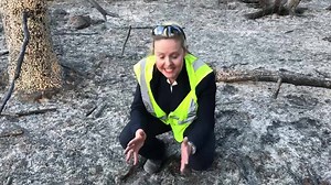 Coming up tonight on ABC 12 News at 11... | ABC12 News