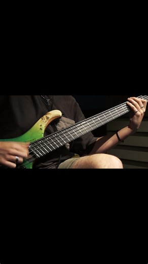 Camellia - Bermuda Δ Triangle Bass cover