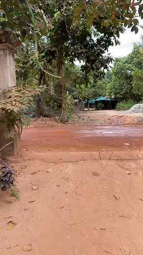 2M views · 10K reactions | ម៉ូតូសម្រាប់កូន藍 #seeyousoon #suzukinex #Love #viral #popz #gpx #nexcrossover #xyzbca #nexdigi #tiktokcambodia #idol #fan | TST Sports | Facebook