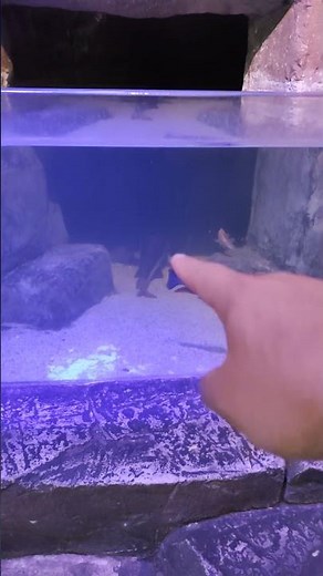 Optics 032 (Indices of Refraction in Water)