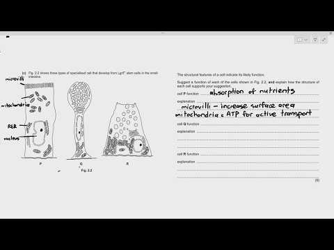 Past Paper Questions 1-6: Short Answer Questions from Chapter 1