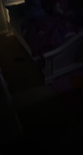 #elfontheshelf #elf #christmas #hoilday #hoildaycountdown #hoildaytiktok #scared #scardycat #christiantiktok