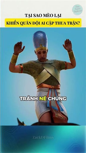 Tại sao mèo lại khiến quân đội Ai Cập thua trận?